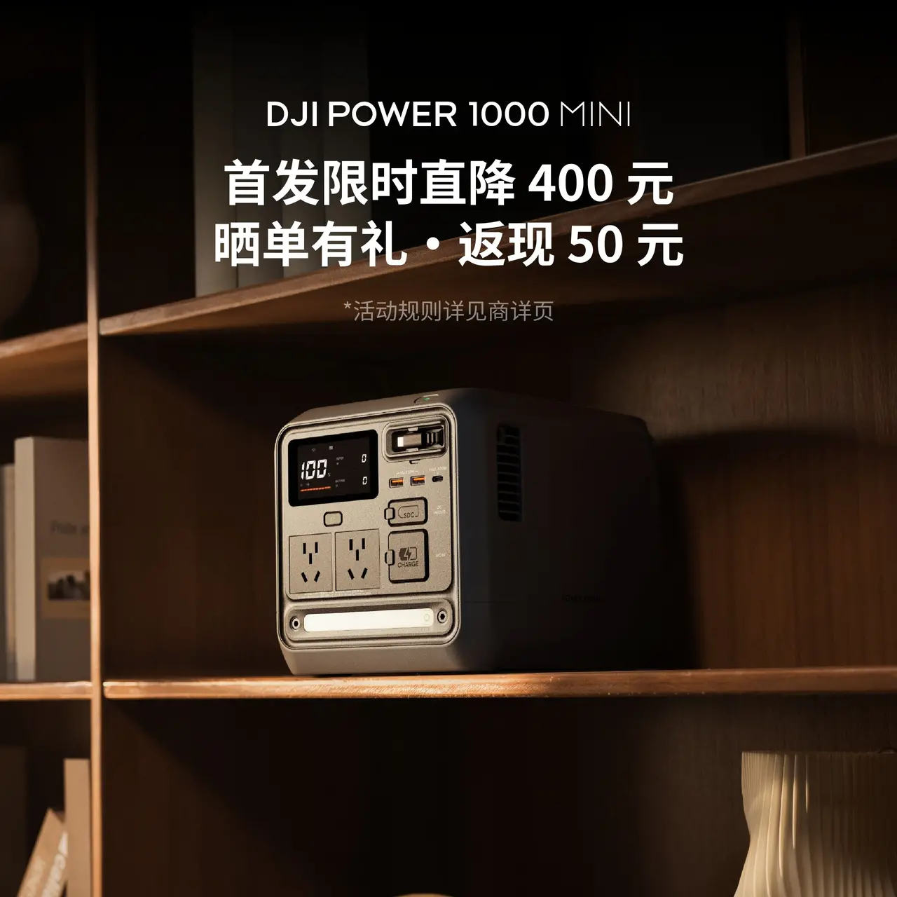 DJI Power 1000 Mini